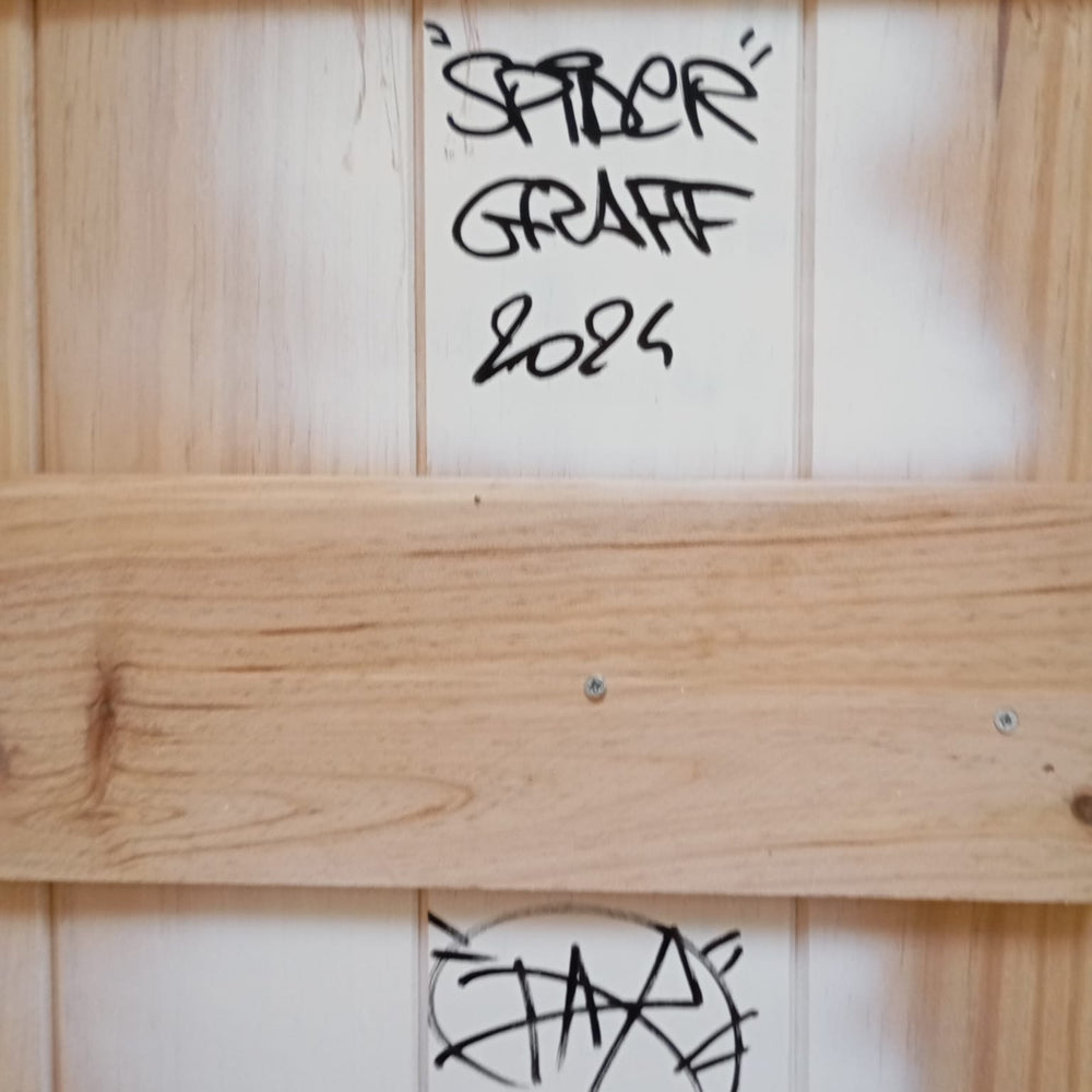 
                      
                        Spider Graff by Daru
                      
                    